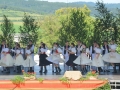 sfs (17)-001